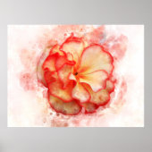 Begonia Blume Aquarell - wb3 Poster (Vorne)