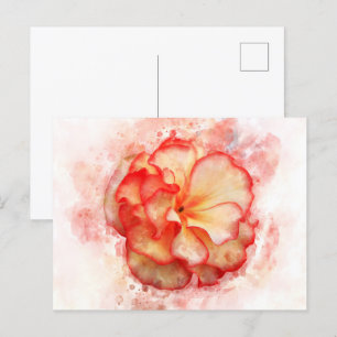 Begonia Blume Aquarell - wb3 Postkarte