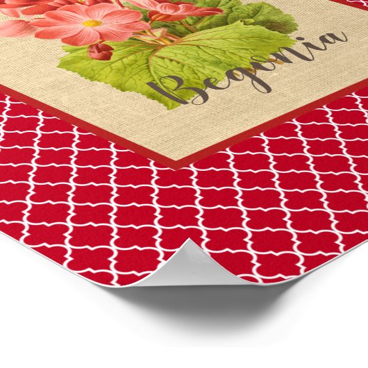 Begonia botanisch und Quatrefoil Poster (Ecke)