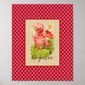 Begonia botanisch und Quatrefoil Poster (Vorne)