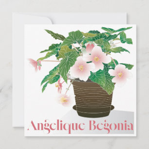 Begonia Flachkarte