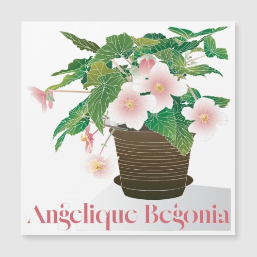 Begonia-Flachmagnet Magnetkarte (Vorderseite)