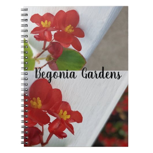 Begonia Flower Garden Notizblock (Vorderseite)