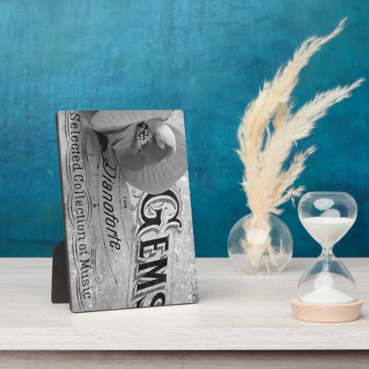 Begonia Gems Pianoforte Fotoplatte (Seite)