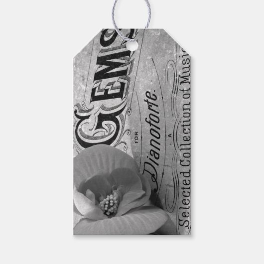 Begonia Gems Pianoforte Geschenkanhänger (Vorderseite)