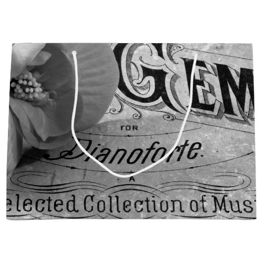 Begonia Gems Pianoforte Große Geschenktüte (Vorderseite)