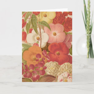 Begonia   George Nicholson Karte