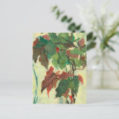 Begonia Maculata Zuhause Garden Pflanze Blumenmale Postkarte (Stehend Vorderseite)