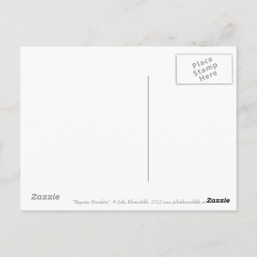 Begonia Maculata Zuhause Garden Pflanze Blumenmale Postkarte (Rückseite)