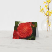Begonia notecard karte (Gelbe Blume)