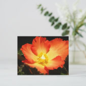 Begonia Postkarte (Stehend Vorderseite)