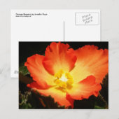 Begonia Postkarte (Vorne/Hinten)