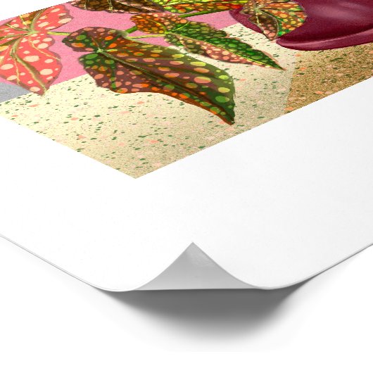 Begonia Print, Poster (Matte) (Ecke)