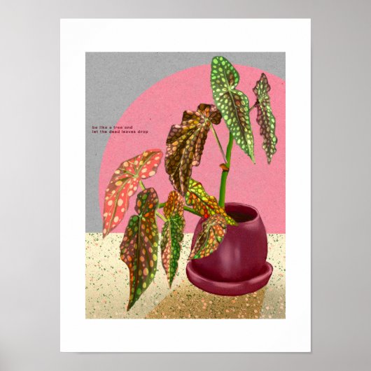 Begonia Print, Poster (Matte) (Vorne)
