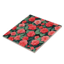 Begonia rosa Blume