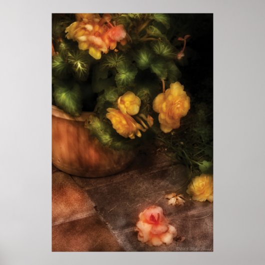 Begonia - Tragödie Poster (Vorne)