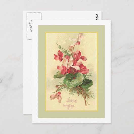 Begonia Vintag Geburtstagsgruß Postkarte (Vorne/Hinten)