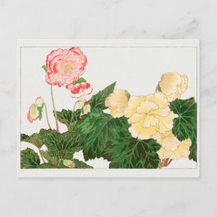 Begonia von Tanigami Konan Postkarte