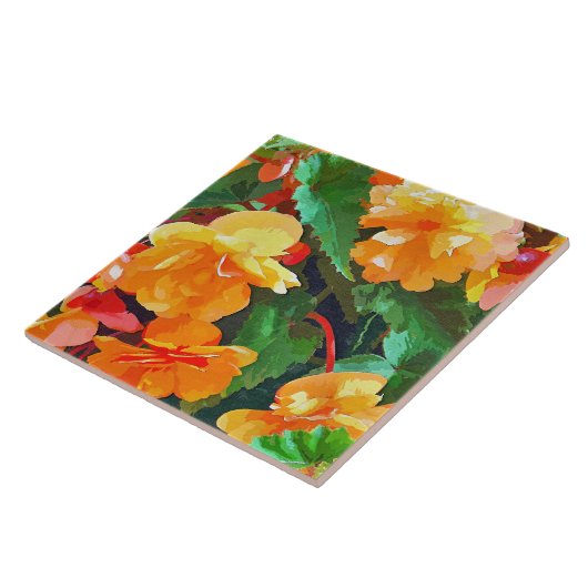 BEGONIAS FLIESE (Seite)