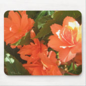Begonias Foto Mousepad (Vorne)