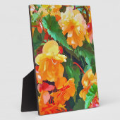 BEGONIAS FOTOPLATTE (Seite)