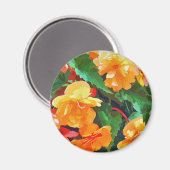 BEGONIAS MAGNET (Vorderseite/Rückseite)