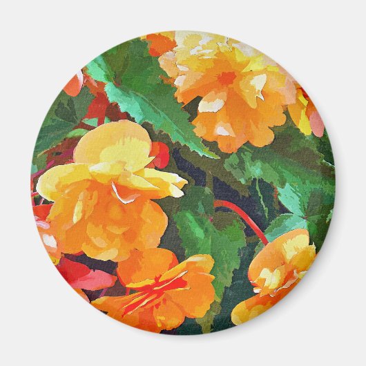 BEGONIAS MAGNET (Vorne)