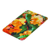 BEGONIAS MAGNET (Linke Seite)