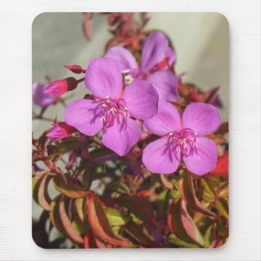 Begonias mousepad (Vorne)