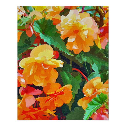 BEGONIAS POSTER (Vorderseite)