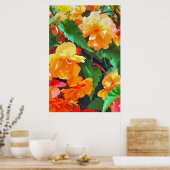 BEGONIAS POSTER (Küche)