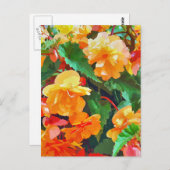 BEGONIAS POSTKARTE (Vorne/Hinten)