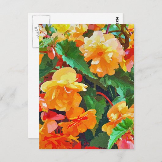 BEGONIAS POSTKARTE (Vorne/Hinten)