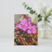 Begonias Postkarte, anpassen Postkarte (Stehend Vorderseite)