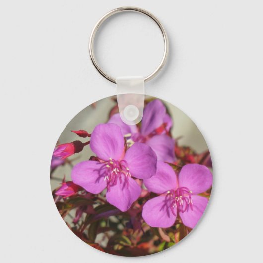 Begonias Schlüsselkette Schlüsselanhänger (Vorderseite)