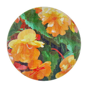 BEGONIAS SCHNEIDEBRETT