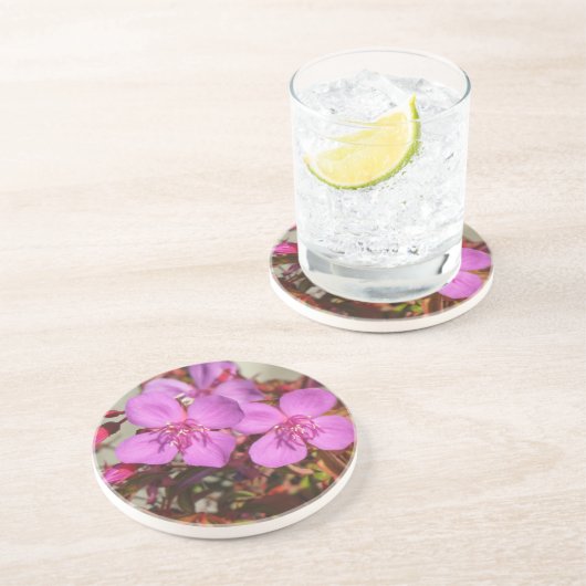 Begonias Untersetzer (Seite)