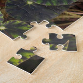 Begonie bowerae Ziesenh. 'Bethlehem Star' Puzzle (Seite)
