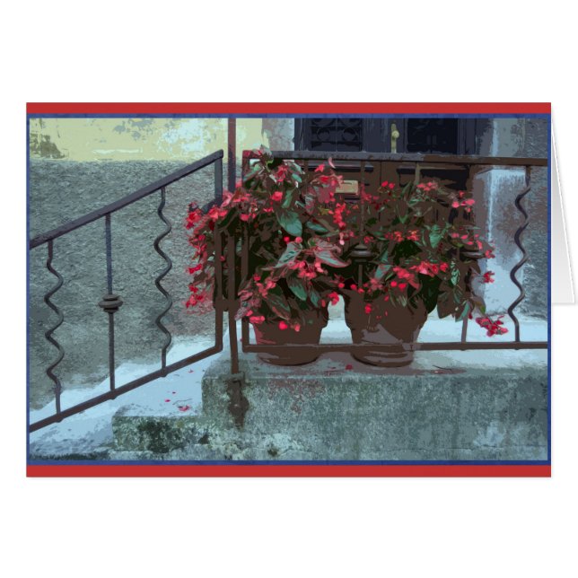 Begonien in Ljubjlana (Vorderseite (Horizontal))