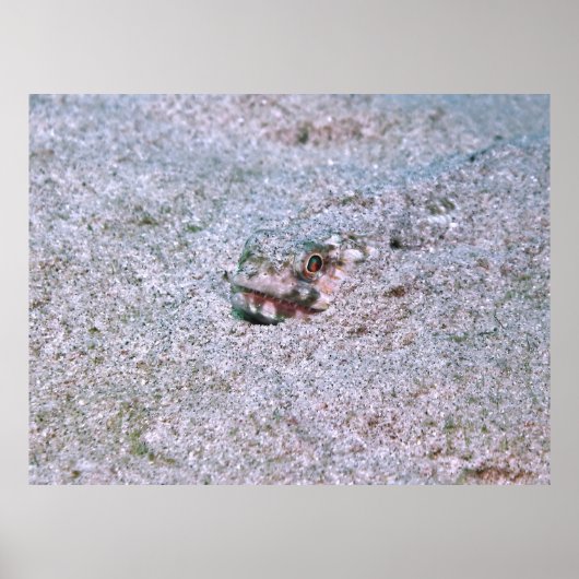 begraben poster (Vorne)