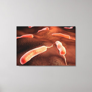 Begriffsbild des Vibrio Cholerae 1 Leinwanddruck