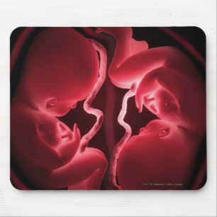 Begriffsbild einer Geb5rmutter, die Zwillinge Mousepad