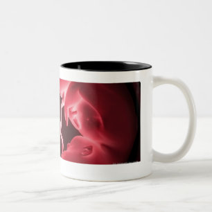 Begriffsbild einer Geb5rmutter, die Zwillinge Zweifarbige Tasse