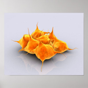 Begriffsbild einer Gruppe Plättchen Poster