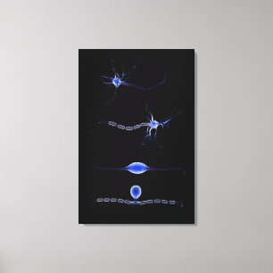 Begriffsbild eines Neurons 1 Leinwanddruck