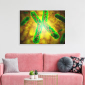 Begriffsbild eines Telomere Leinwanddruck (Insitu (Wohnzimmer))