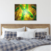 Begriffsbild eines Telomere Leinwanddruck (Insitu (Schlafzimmer))