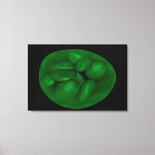 Begriffsbild von Chloroplast 2 Leinwanddruck