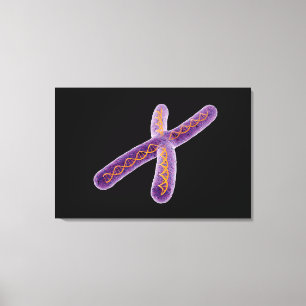 Begriffsbild von Chromosom 2 Leinwanddruck
