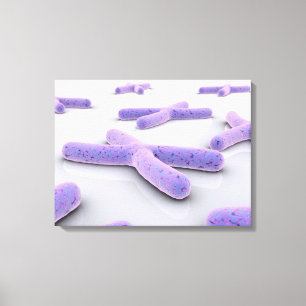 Begriffsbild von Chromosom 4 Leinwanddruck